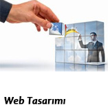 Web Tasarımı